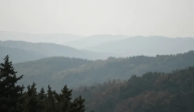 小程序开发在服务器业务中的趋势与实践路径